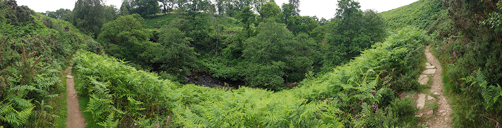 Goathland local walks